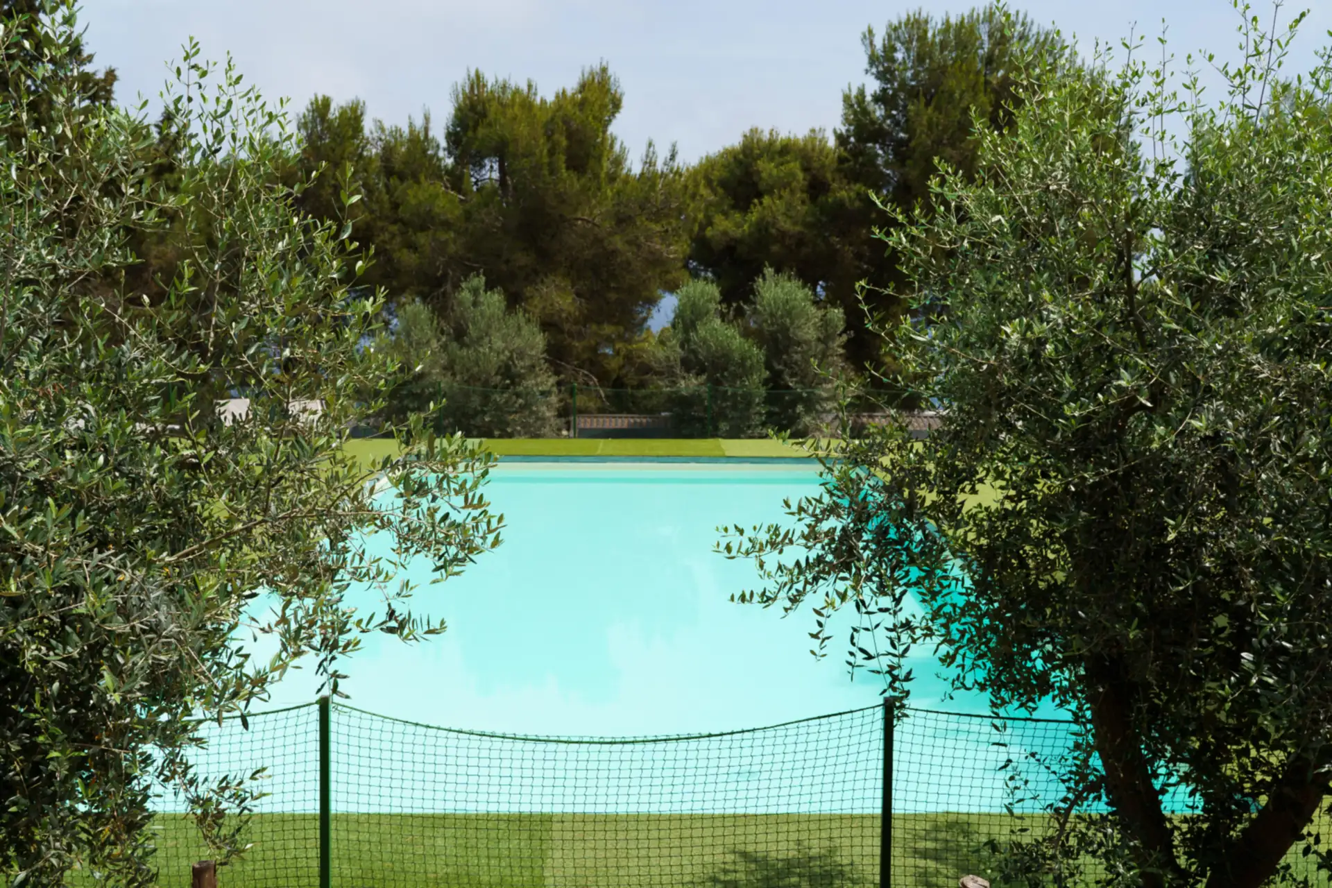 La piscina del campeggio tra gli ulivi e la pineta