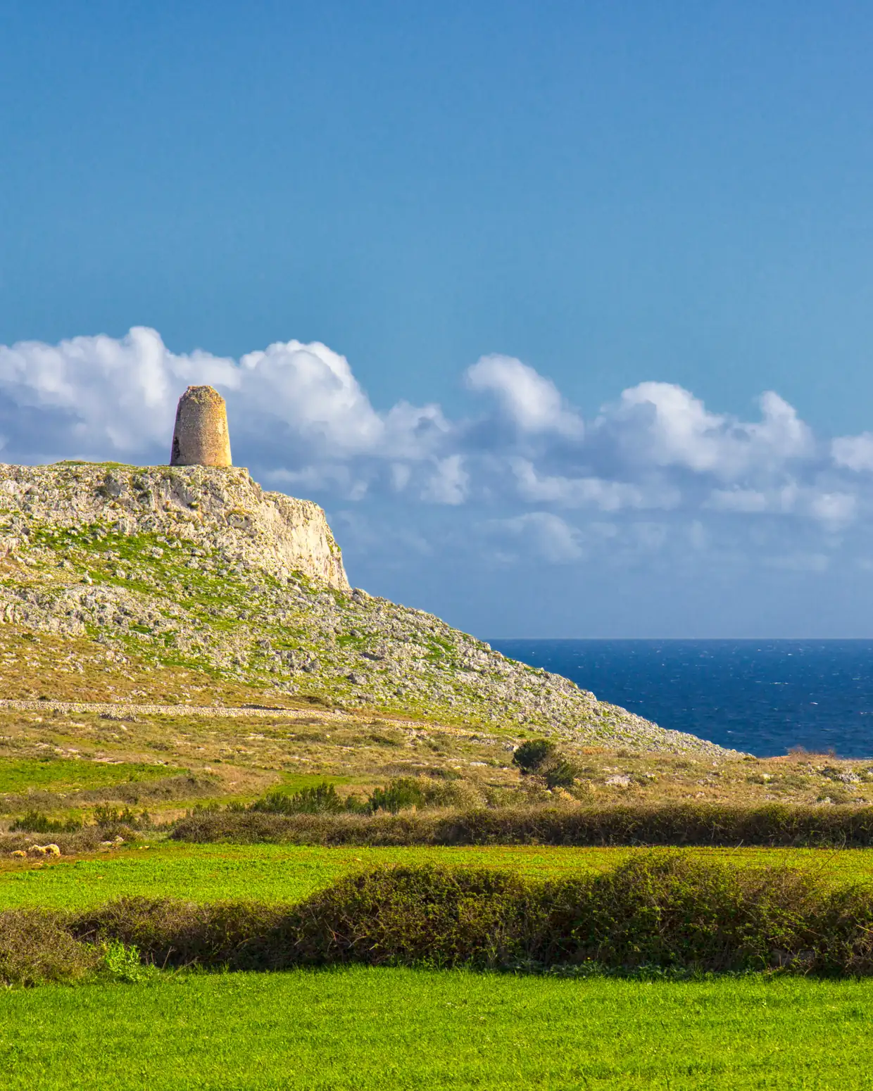 Una torre costiera sul promontorio del parco, fra i prati e il mare